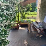 Il Tempo Del Sogno Con Cani E Gatti Pet&breakfast 3*