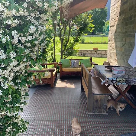 Il Tempo Del Sogno Con Cani E Gatti Pet&breakfast *