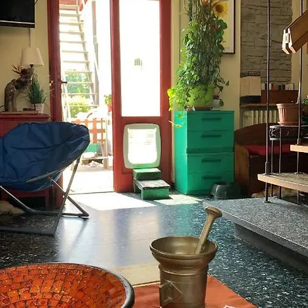 Il Tempo Del Sogno Con Cani E Gatti Pet&breakfast Frühstückspension Baveno