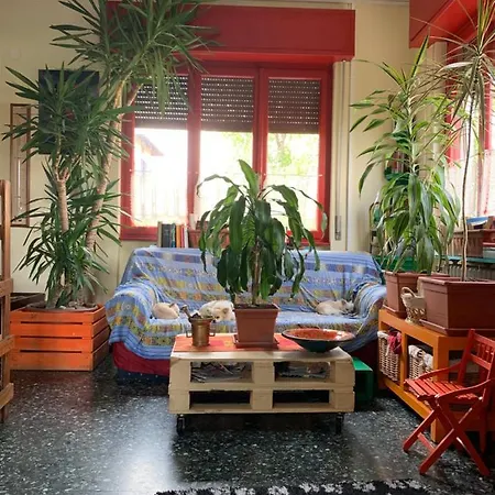 Il Tempo Del Sogno Con Cani E Gatti Pet&breakfast Frühstückspension 3*