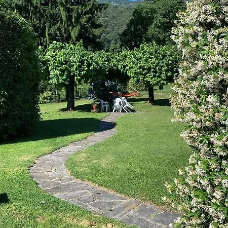 Il Tempo Del Sogno Con Cani E Gatti Pet&breakfast Baveno