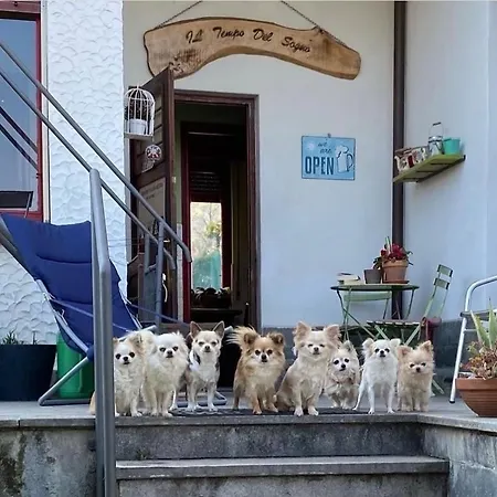 Il Tempo Del Sogno Con Cani E Gatti Pet&breakfast Couette-café Baveno