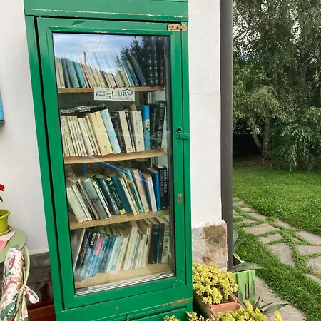 Il Tempo Del Sogno Con Cani E Gatti Pet&breakfast 3* Baveno