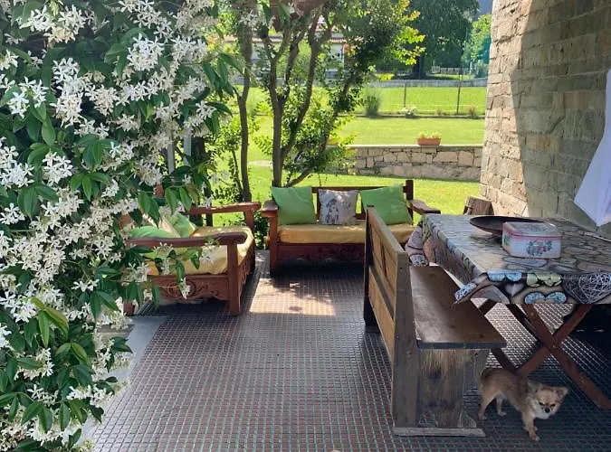 Il Tempo Del Sogno Con Cani E Gatti Pet&breakfast 3*