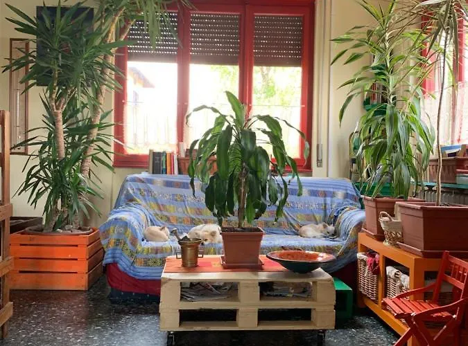 Il Tempo Del Sogno Con Cani E Gatti Pet&breakfast Bed and breakfast 3*