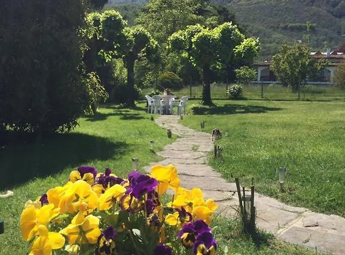 Il Tempo Del Sogno Con Cani E Gatti Pet&breakfast Baveno