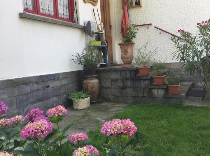 Bed and breakfast Il Tempo Del Sogno Con Cani E Gatti Pet&breakfast Baveno