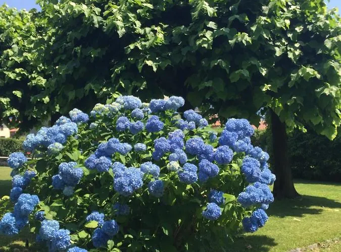 Bed & Breakfast Il Tempo Del Sogno Con Cani E Gatti Pet&breakfast