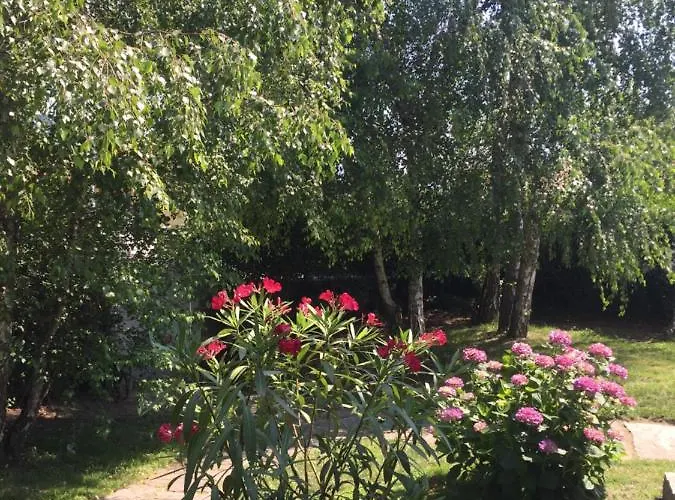 Il Tempo Del Sogno Con Cani E Gatti Pet&breakfast 3* Baveno