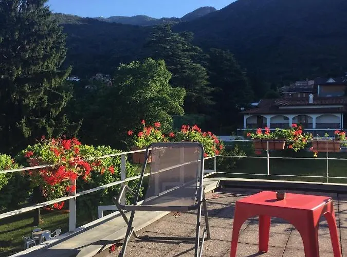 Il Tempo Del Sogno Con Cani E Gatti Pet&breakfast