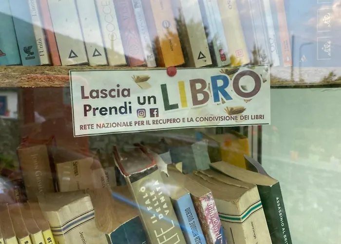 Il Tempo Del Sogno Con Cani E Gatti Pet&breakfast